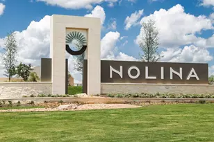 216 Snakeroot Trl, Georgetown, TX 78633 - Photo 4