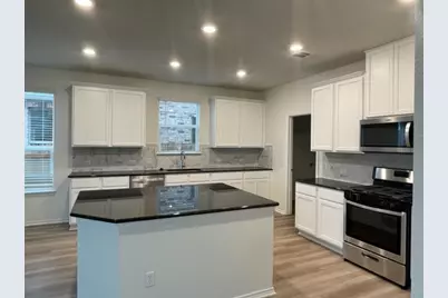 4519 Avellino Drive, Round Rock, TX 78665 - Photo 20