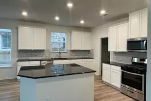 4519 Avellino Dr, Round Rock, TX 78665 - Photo 20