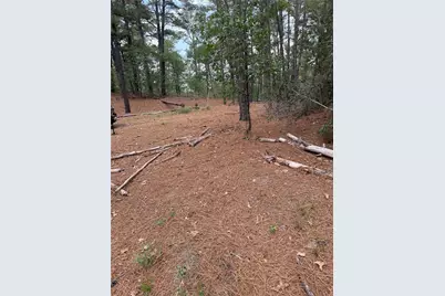Lot 35 Tanglewood Drive, Bastrop, TX 78602 - Photo 2