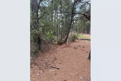 Lot 35 Tanglewood Drive, Bastrop, TX 78602 - Photo 1
