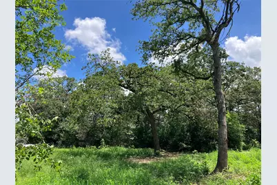 693 Saint Mary's Road, Rosanky, TX 78953 - Photo 10