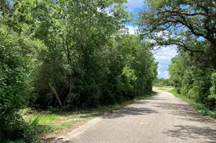 693 St Mary's Rd, Rosanky, TX 78953 - Photo 4