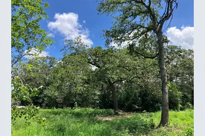 693 Saint Mary's Road, Rosanky, TX 78953 - Photo 10