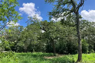 693 St Mary's Rd, Rosanky, TX 78953 - Photo 10