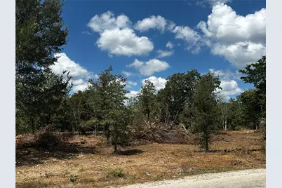 Tbd N Gaines Road, Cedar Creek, TX 78602 - Photo 14