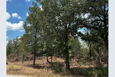 Tbd N Gaines Road, Cedar Creek, TX 78602 - Photo 16