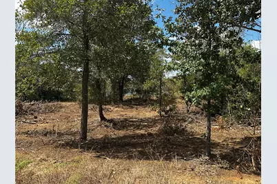 Tbd N Gaines Road, Cedar Creek, TX 78602 - Photo 18