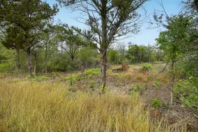 Tbd N Gaines Road, Cedar Creek, TX 78602 - Photo 12