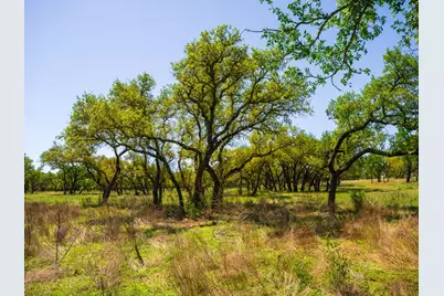 000 Serenity Springs Ranch, Johnson City, TX 78636 - Photo 6