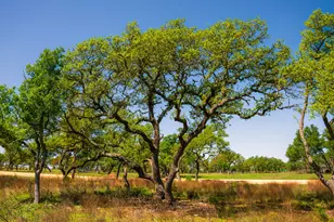 000 Serenity Springs Ranch, Johnson City, TX 78636 - Photo 1