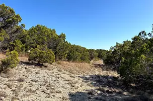 21924 Nameless Rd, Leander, TX 78641 - Photo 6