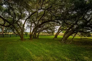 104 Hartfield Hill Ln, Round Top, TX 78954 - Photo 40