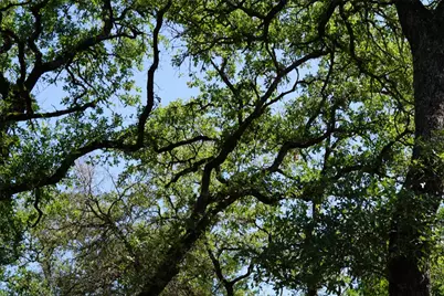 5548 Cr 322, Rockdale, TX 76567 - Photo 14