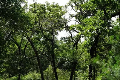 5548 Cr 322, Rockdale, TX 76567 - Photo 4