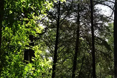 5548 Cr 322, Rockdale, TX 76567 - Photo 8