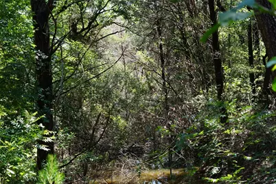 5548 Cr 322, Rockdale, TX 76567 - Photo 10