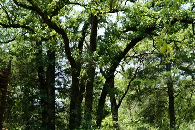 5548 Cr 322, Rockdale, TX 76567 - Photo 34