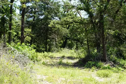 5548 Cr 322, Rockdale, TX 76567 - Photo 36