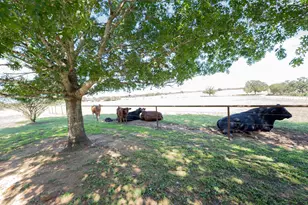 2542 Witter Rd, Lockhart, TX 78644 - Photo 8