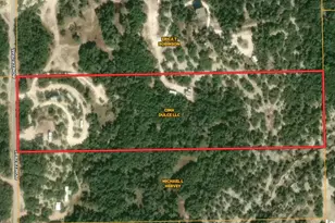 530 Pioneer Trail, Dripping Springs, TX 78620 - Photo 4