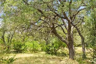 1984 N Grape Creek Rd, Fredericksburg, TX 78624 - Photo 8