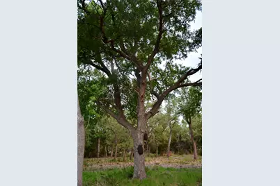 201 Medlin Creek Loop, Dripping Springs, TX 78620 - Photo 12