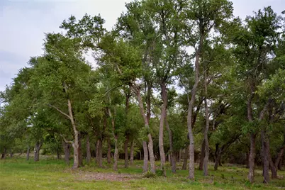 201 Medlin Creek Loop, Dripping Springs, TX 78620 - Photo 10