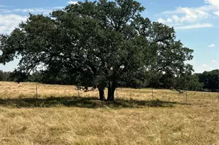 Tbd County Road 222, Florence, TX 76527 - Photo 4