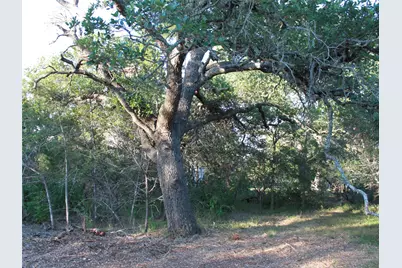 249 Grande Street, Driftwood, TX 78619 - Photo 26