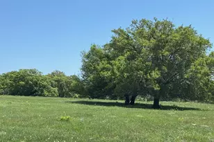 3817 Fm 154 Rd, Muldoon, TX 78949 - Photo 1
