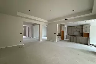 313 Knockout Rose Dr, San Marcos, TX 78666 - Photo 10