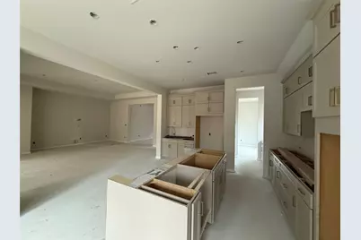 313 Knockout Rose Drive, San Marcos, TX 78666 - Photo 8