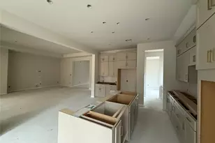 313 Knockout Rose Dr, San Marcos, TX 78666 - Photo 8