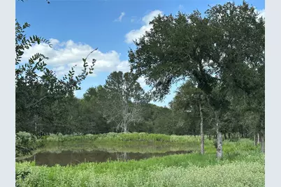 1085 County Road 426, Dime Box, TX 77853 - Photo 6