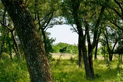 8845 Fm 2657, Briggs, TX 78608 - Photo 34