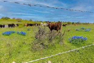 16400 Fetching Ave, Manor, TX 78653 - Photo 30