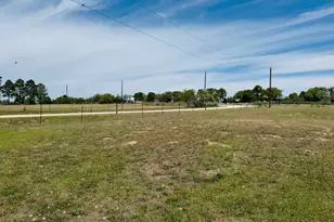 1094 Raintree Ln, Elgin, TX 78621 - Photo 4