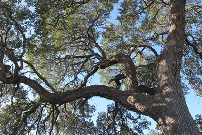 600 S Bagdad Road, Leander, TX 78641 - Photo 18