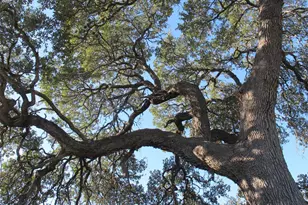 600 S Bagdad Rd, Leander, TX 78641 - Photo 18