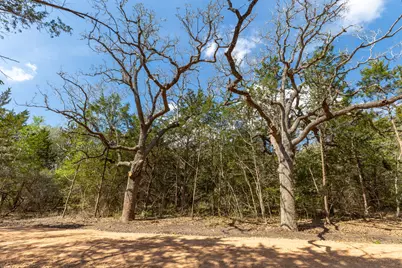 1956 (Tract #2) Baca Loop, Flatonia, TX 78941 - Photo 6