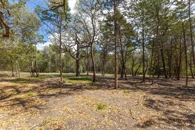 1956 (Tract #2) Baca Loop, Flatonia, TX 78941 - Photo 24