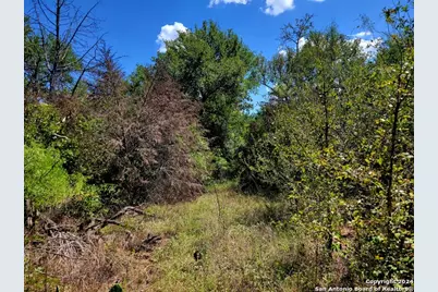 Tbd Dale Road, Dale, TX 78616 - Photo 4