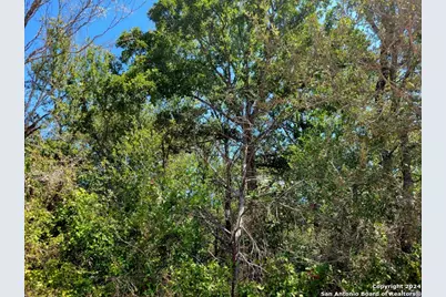 Tbd Dale Road, Dale, TX 78616 - Photo 14