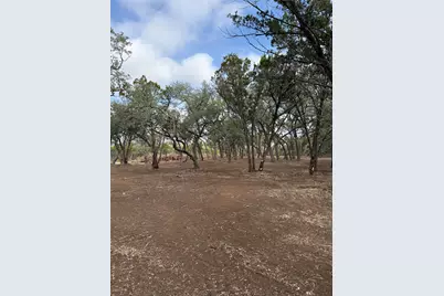 15 Acres Red Corral Ranch Road, Wimberley, TX 78676 - Photo 16