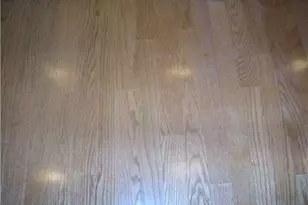 202 E 45th St, Austin, TX 78751 - Photo 4