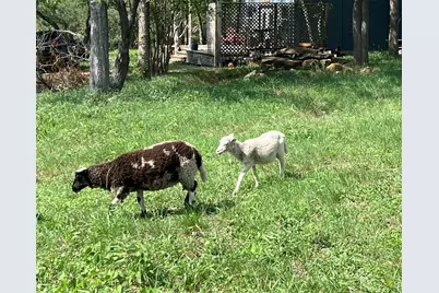 124 Valley Creek Drive, Cedar Creek, TX 78612 - Photo 36