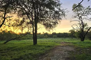 124 Valley Creek Dr, Cedar Creek, TX 78612 - Photo 12