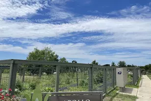9721 Morning Iris Dr, Manor, TX 78653 - Photo 28