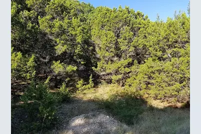 21003 Stone Cliff Drive, Lago Vista, TX 78645 - Photo 1